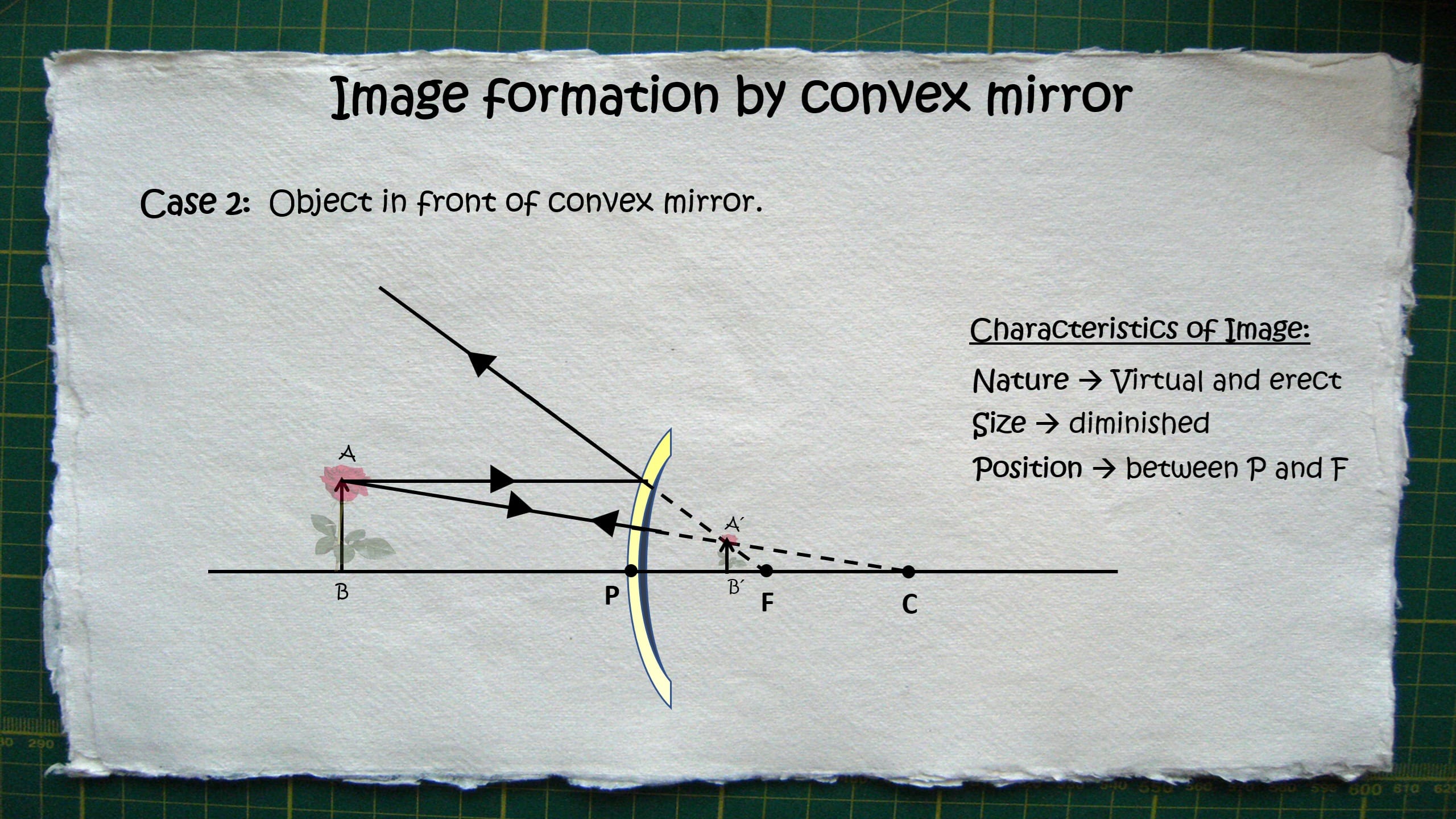 Study_Reflection_6_Ray diagrams convex mirror – APS Physics